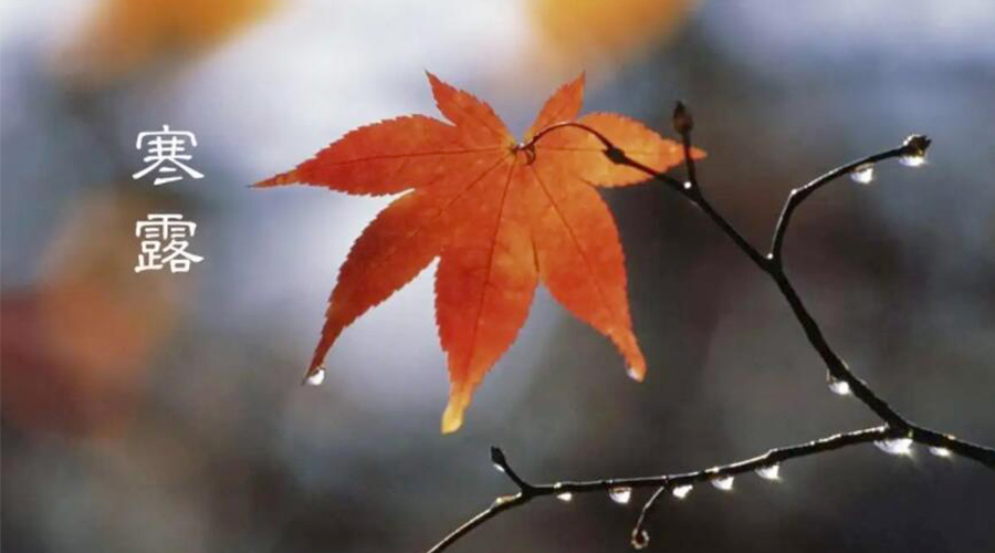 寒露時節(jié)！金環(huán)電器提醒大家要注意的事項