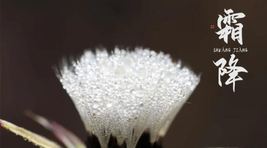 霜降時(shí)節(jié)！金環(huán)電器提醒大家要注意的事項(xiàng)