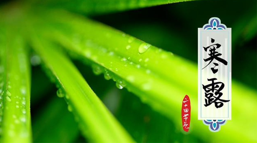 寒露時(shí)節(jié)到！金環(huán)電器提醒這些干衣事項(xiàng)要注意