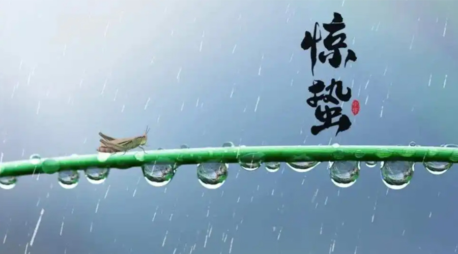 驚蟄時(shí)節(jié)！金環(huán)電器提醒大家干衣要注意這些