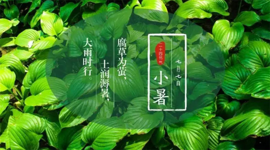 小暑時(shí)節(jié)來(lái)到！金環(huán)電器提醒大家要注意的事項(xiàng)