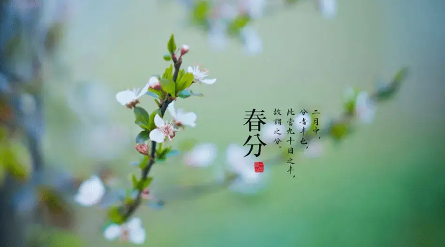 春分雨水多易生菌！金環(huán)電器提醒你衣物要注意處理