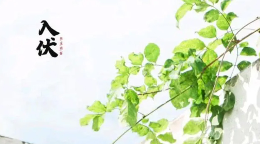 初伏時節(jié)！金環(huán)電器提醒大家要注意的事項