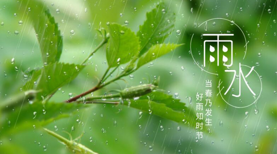 雨水時(shí)節(jié)！金環(huán)電器提醒大家要注意的事項(xiàng)