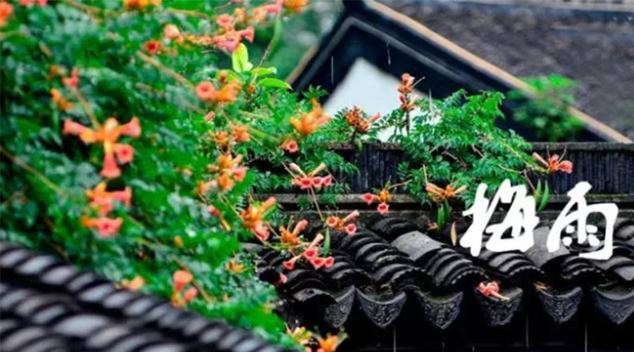 什么是梅雨？梅雨如何形成？  金環(huán)電器告訴你答案